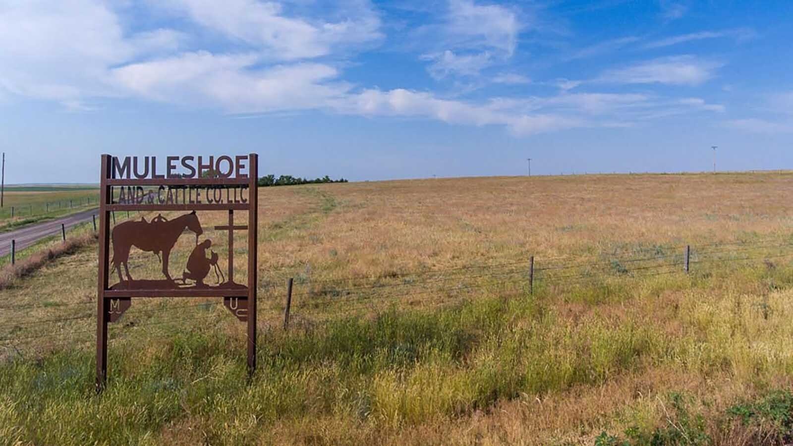 The sale of the Muleshoe Ranch near Torrington reflects the complex web of forces driving up cattle prices and creating shifts in the beef industry.