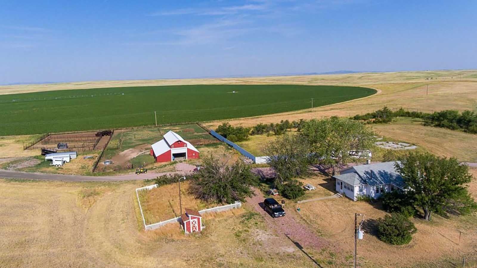 The sale of the Muleshoe Ranch near Torrington reflects the complex web of forces driving up cattle prices and creating shifts in the beef industry.