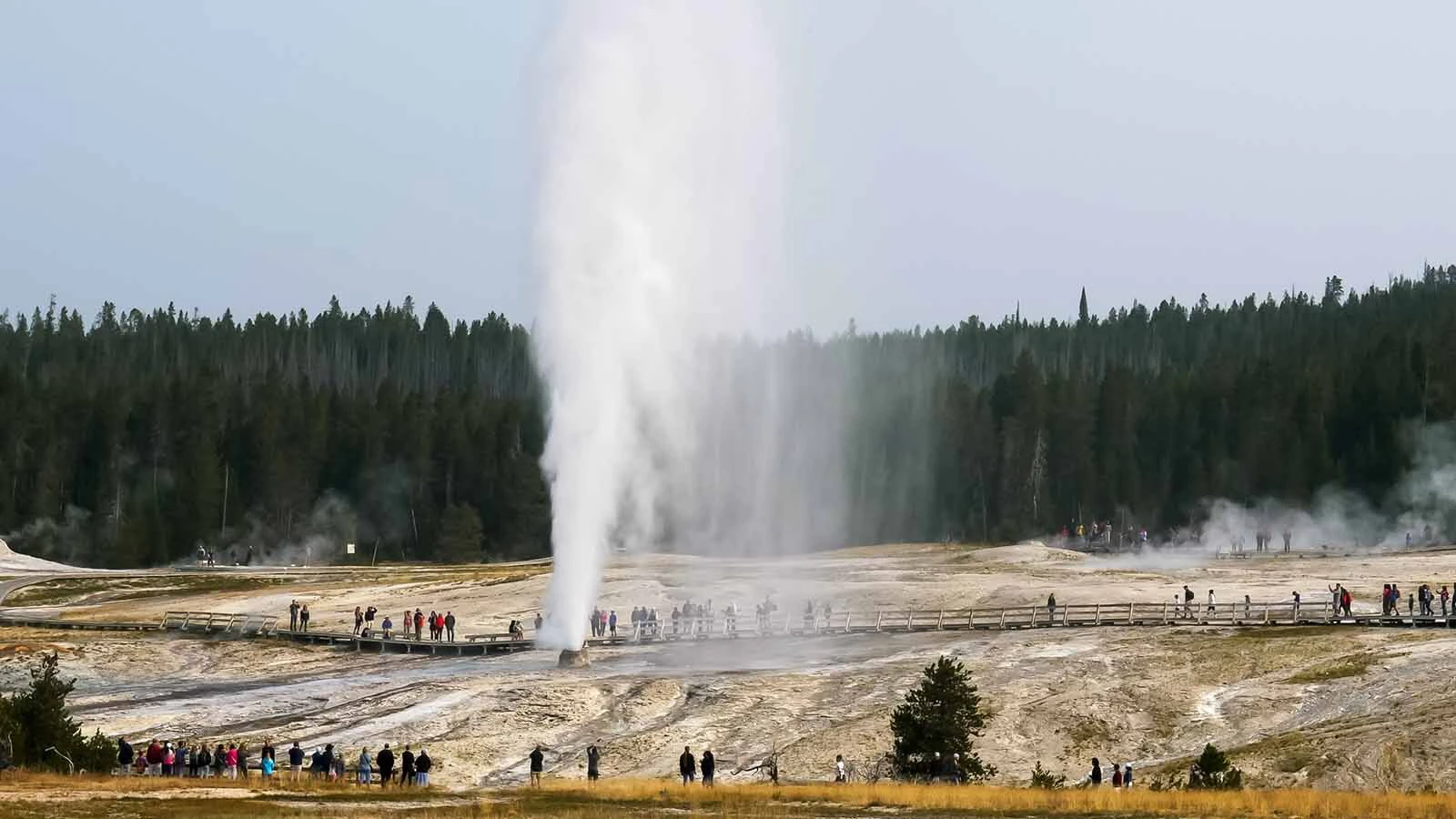 Beehive Geyser in Yellowstone isn't quite as reliable as nearby Old Faithful. But when it does erupt, it's taller, longer, prettier and more intimate. "You can really feel the power of it and still feel safe," says a Wyoming visitor.
