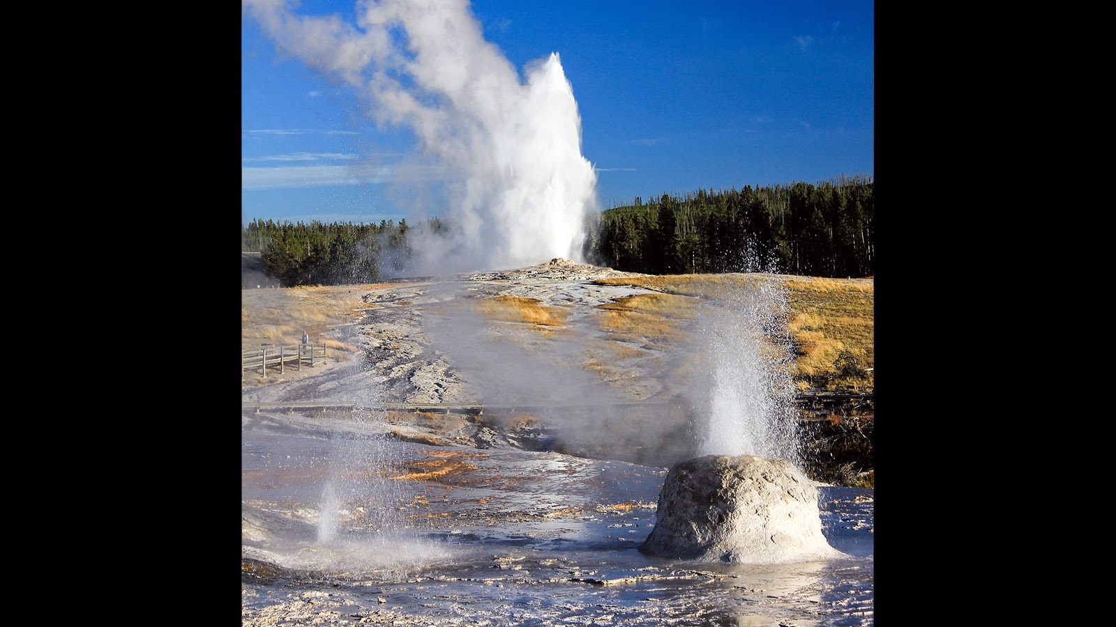Beehive Geyser and its vent both erupt.