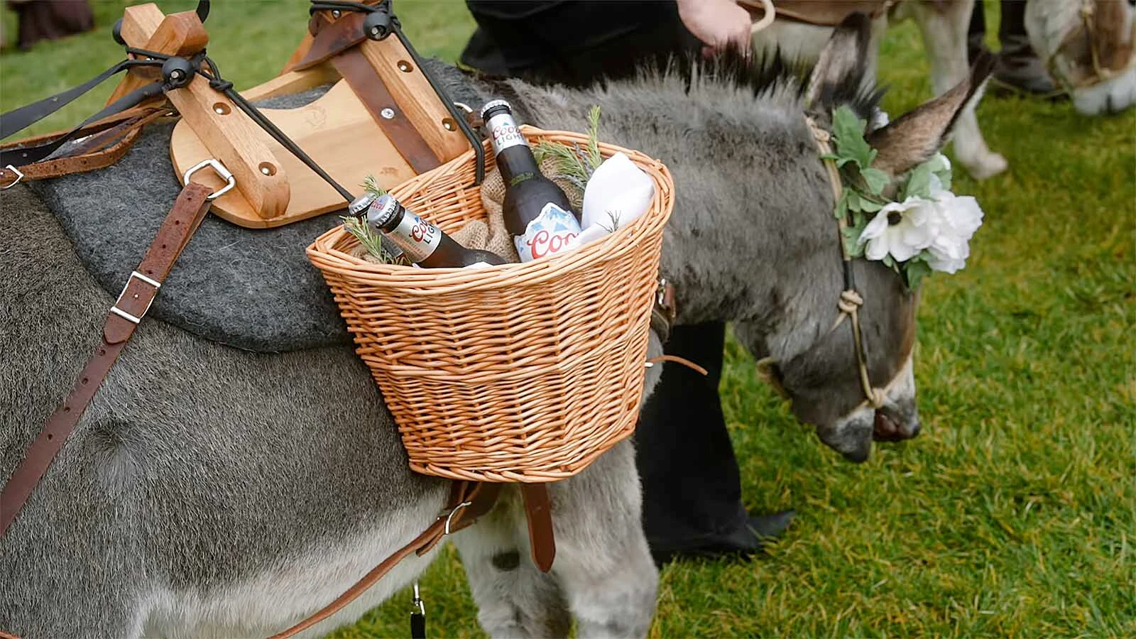 A rescued miniature donkey named Miguel is becoming one of Wyoming’s most in-demand wedding bartenders, and he only costs $400. Bartending burros are perfect for Wyoming, where people appreciate livestock and beer.