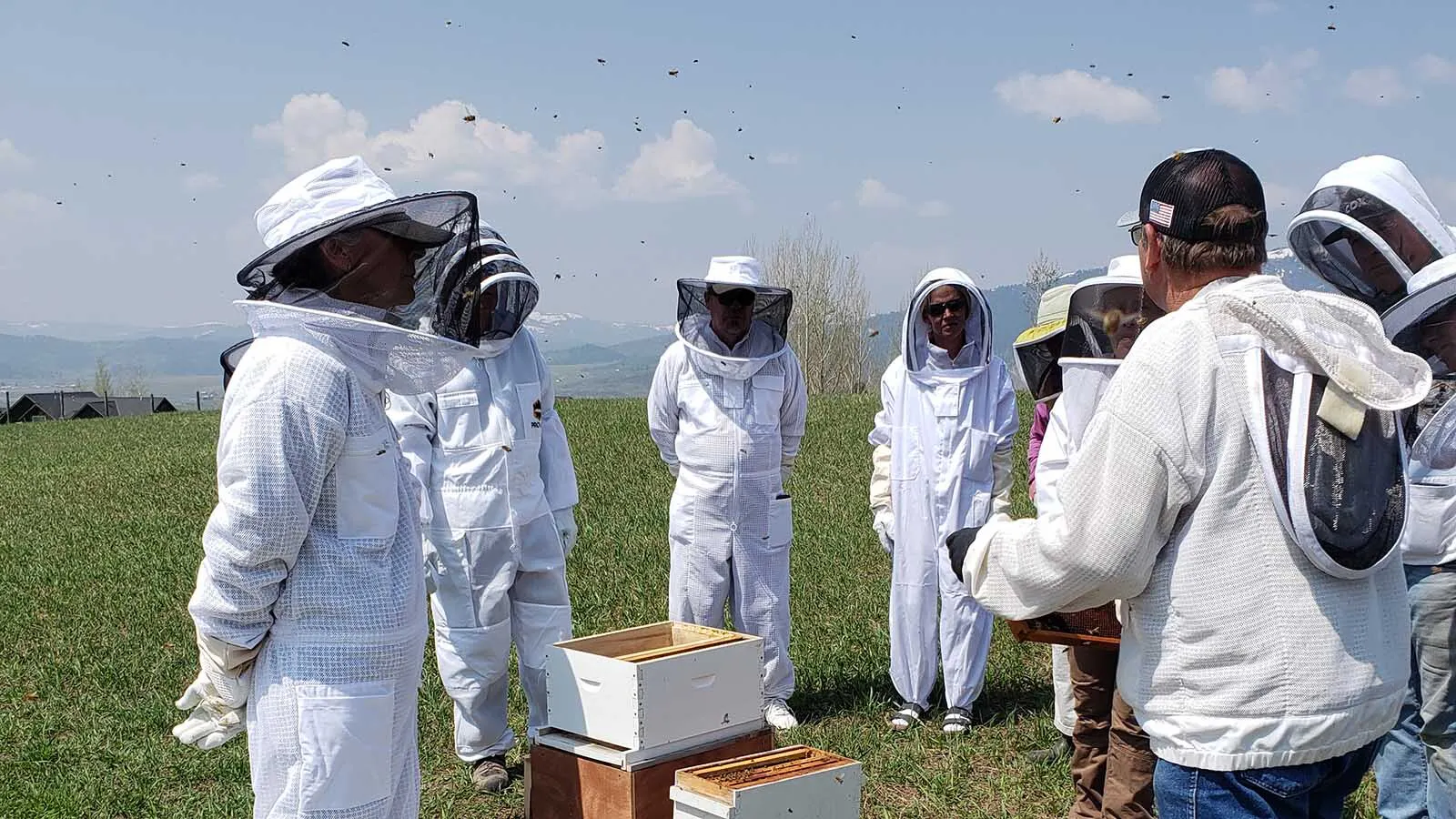 Beekeepers gather around instructor Mike Morrison during an open apiary workshop at the Wyoming Honeybee and Pollinator Program's Etna location in May 2025.