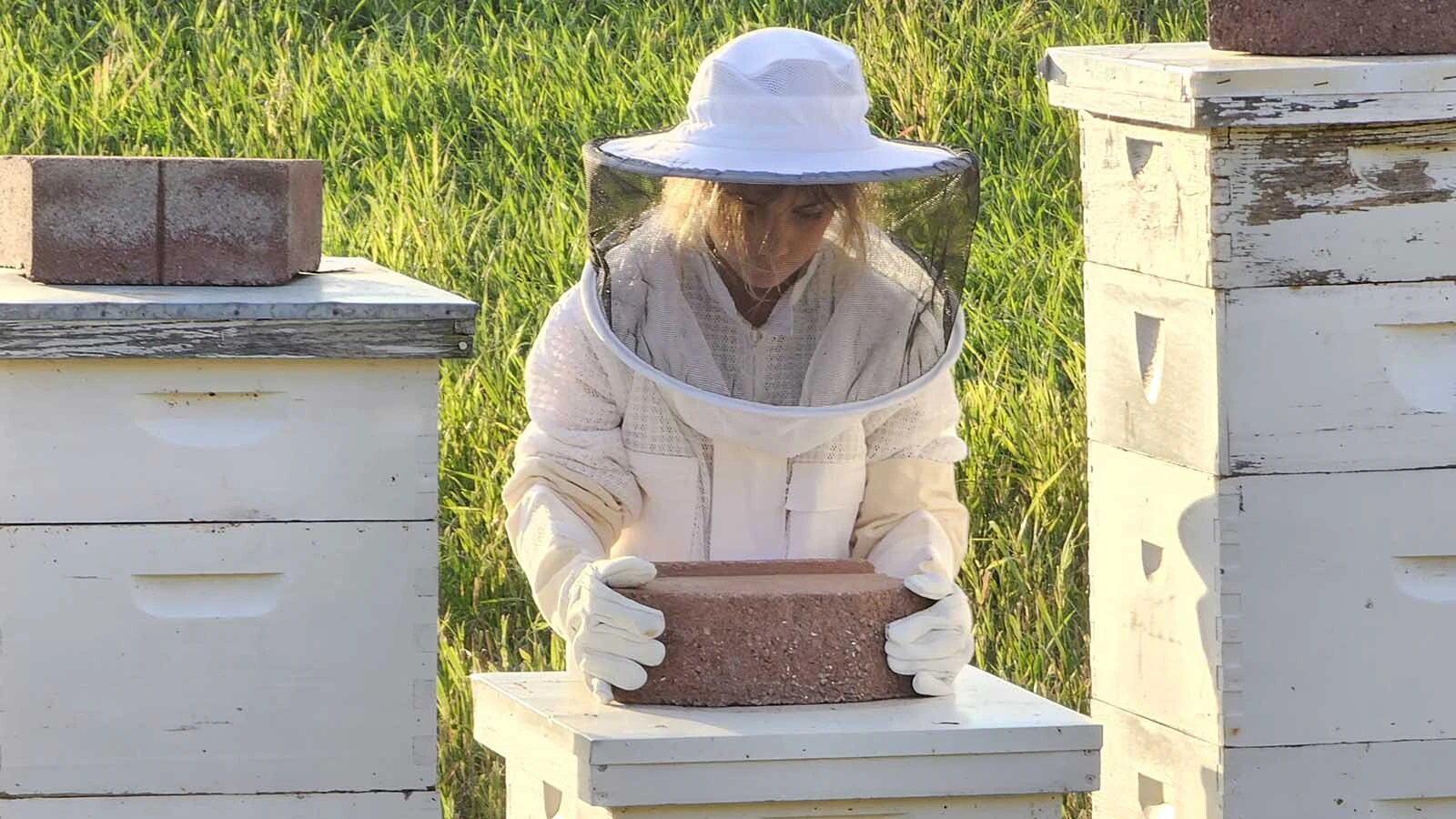 Nine-year-old Wyoming Honeybee and Pollinator Program member Remington prepares for her first solo hive inspection at the program's teaching apiary near Etna, learning the basics of beekeeping one frame at a time.