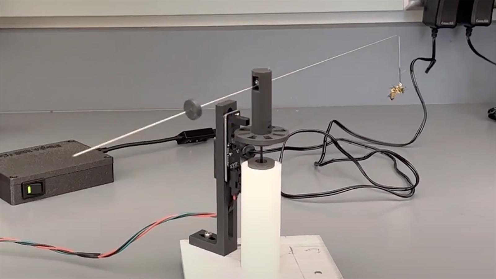 Imagine a hot walk — the circular pen where a harnessed horse walks in circles. This flight mill built to harness honeybees at Montana State University is a tiny version of that, but it measures distance and speed.