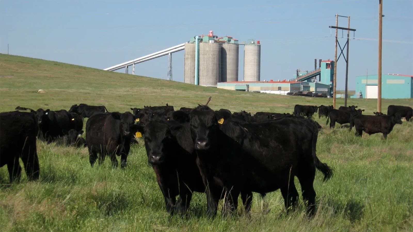 The Belle Ayr coal mine south of Gillette in the Powder River Basin of Wyoming.