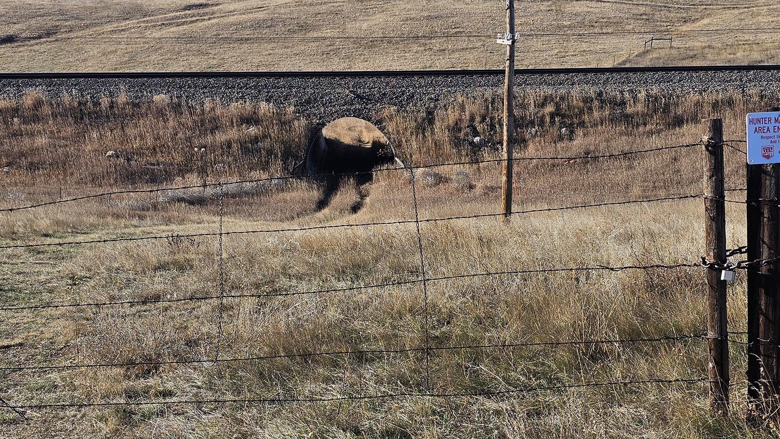 This underpass might someday be used to continue the trails at Belvoir Ranch, if Cheyenne can work out an agreement with Union Pacific for allowing its use.