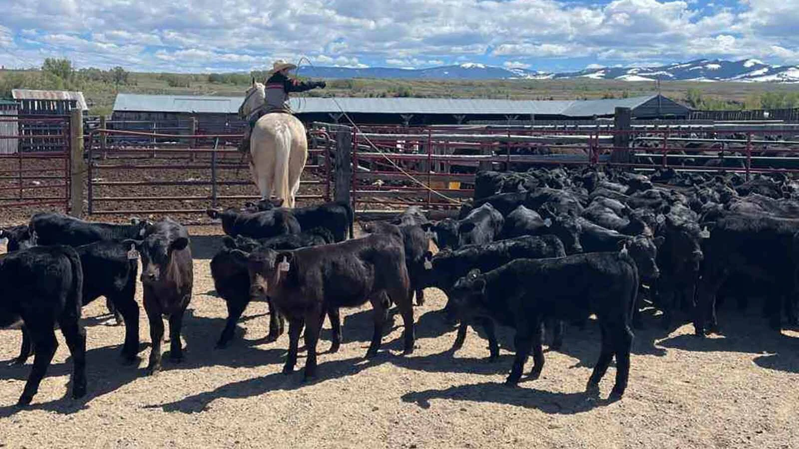 Berger Ranch 10 3 26