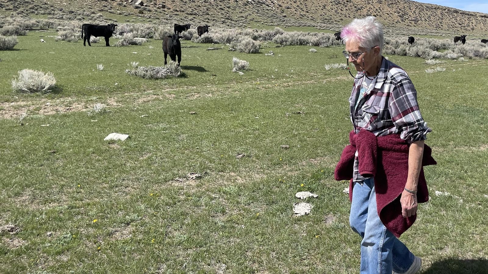 Bernadette Blacketer, 83, was killed when she was hit by a vehicle Friday morning, Jan. 24, 2025, while walking to open St. Francis Catholic Church on Arapahoe Street in Thermopolis.