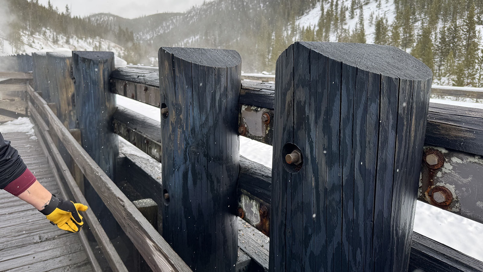 The blue wood near Beryl Spring in Yellowstone National Park. The untreated wood used along the Grand Loop Road has been stained blue from the minerals in the steam eternally billowing from the hot spring, an appropriate reflection of the spring's name and blue-tinted water.