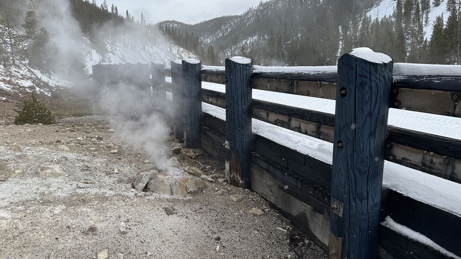 The blue wood near Beryl Spring in Yellowstone National Park. The untreated wood used along the Grand Loop Road has been stained blue from the minerals in the steam eternally billowing from the hot spring, an appropriate reflection of the spring's name and blue-tinted water.