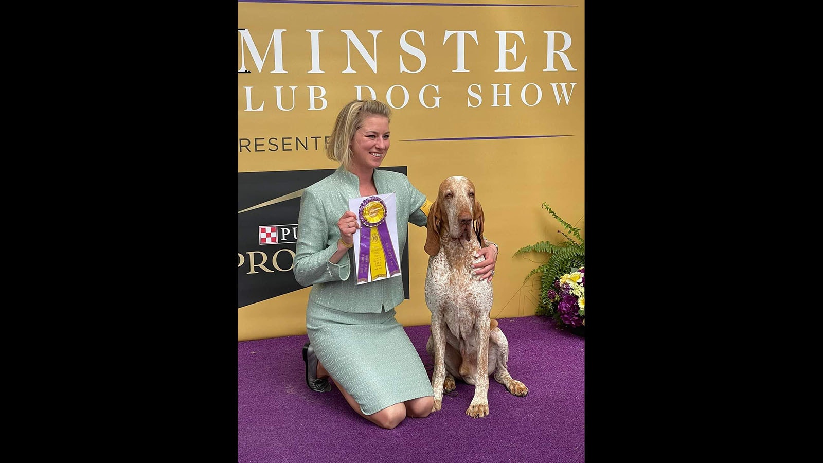 Professional dog handler Natasha Wilson and Rowan hold up a ribbon from the Westminster Kennel Club Dog Show Best on Breed win.