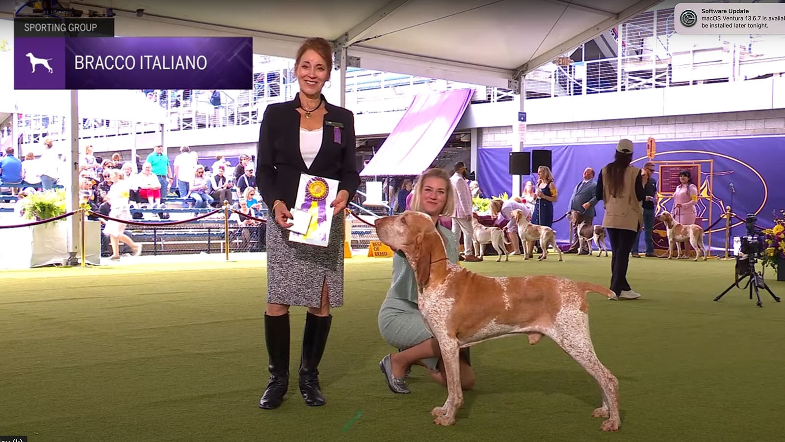 A screenshot from the Westminster Kennel Club Dog Show shows the competition’s judge hold the ribbon with Natasha Wilson and Rowan celebrating the win.