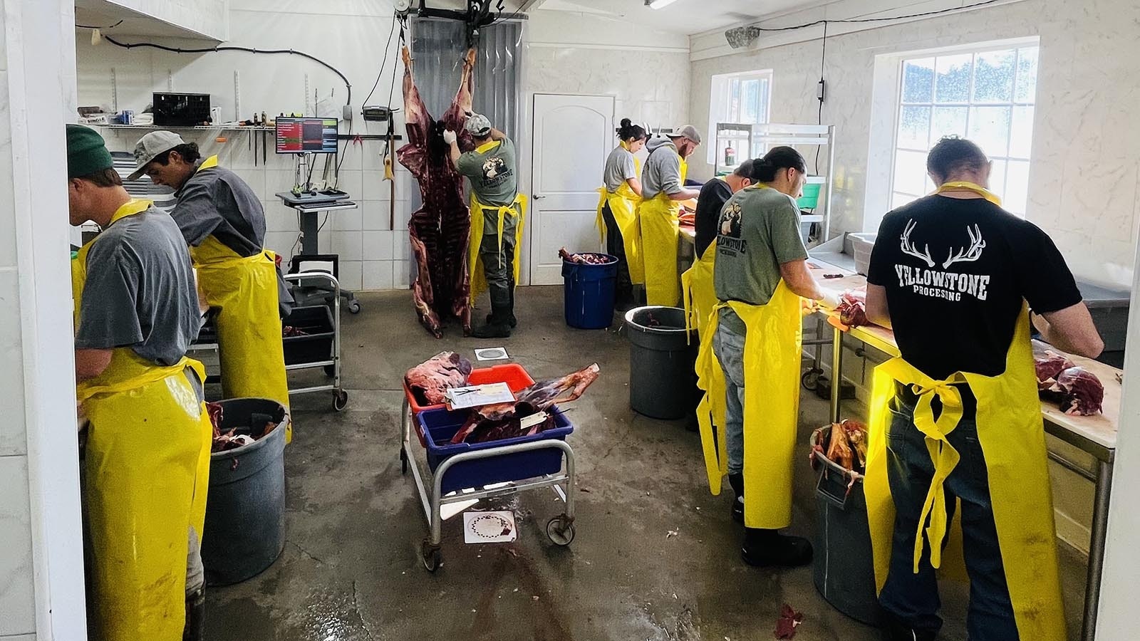 Big game carcasses are butchered at Yellowstone Wild Game Processing near Bozeman, Montana.