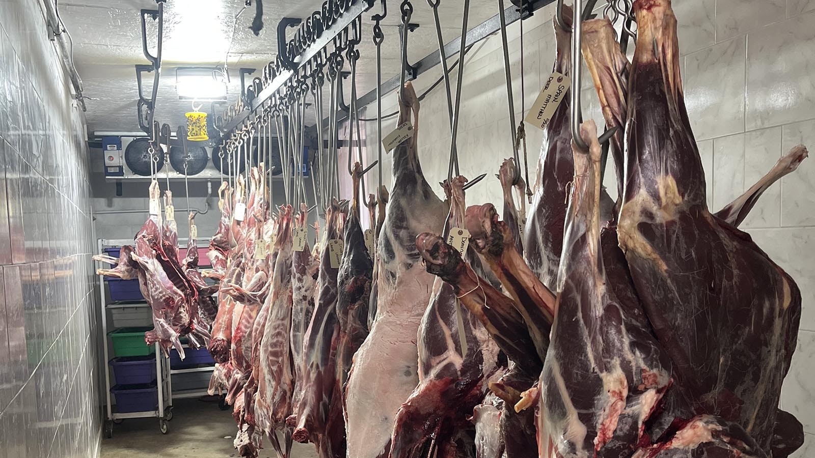 Big game carcasses await processing at Yellowstone Wild Game Processing near Bozeman, Montana.