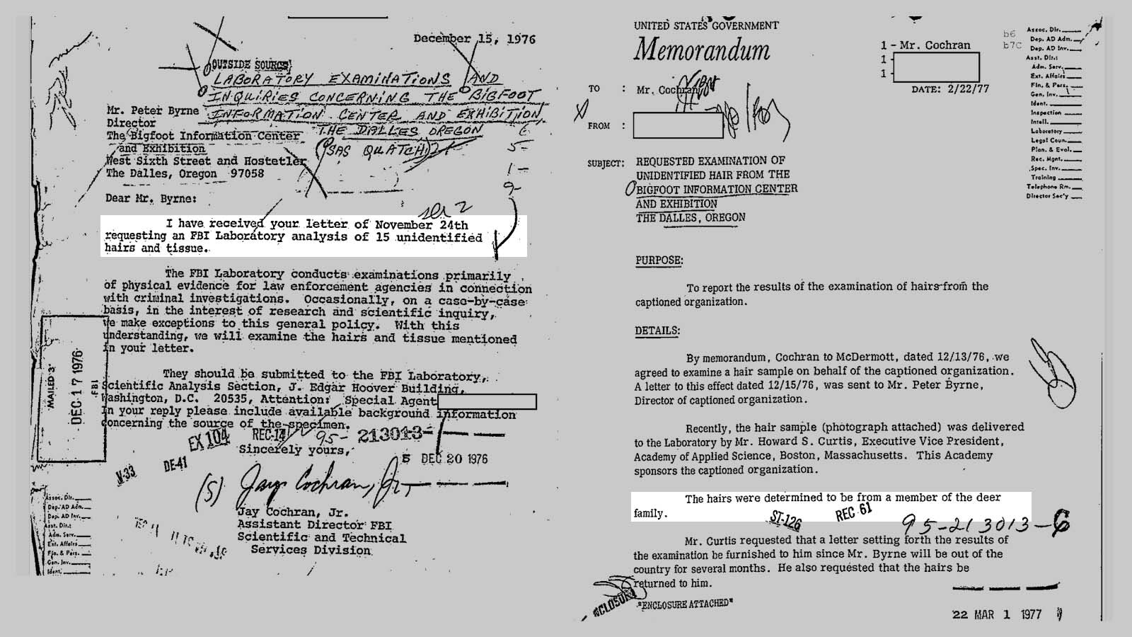 Pages from a 22-page 50-year-old FBI file the says suspected bigfoot fur was tested and found to be "from a member of the deer family."