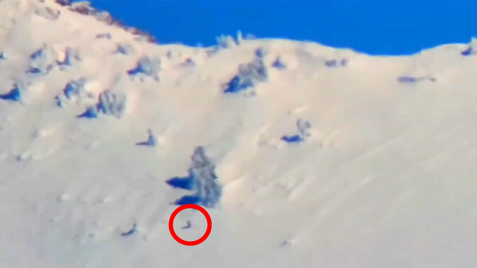 In a long-range, shaky and blurry video, a figure that appears to be on two legs sprints across a steep snowy slope in Utah.