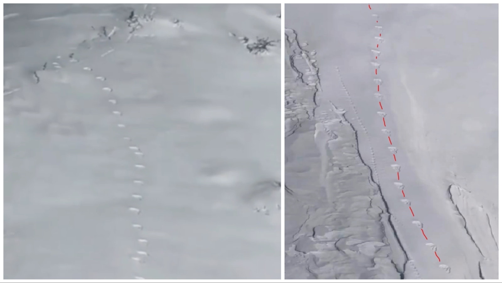 A flyover over an area where a suspected bigfoot was seen shows a trail of odd-looking prints in the snow.