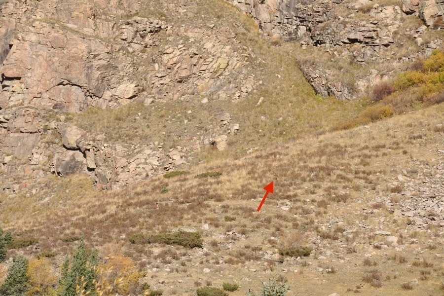 In this wide angle photo, Shannon Parker points out a hard-to-make-out figure that resembles the legendary Bigfoot.