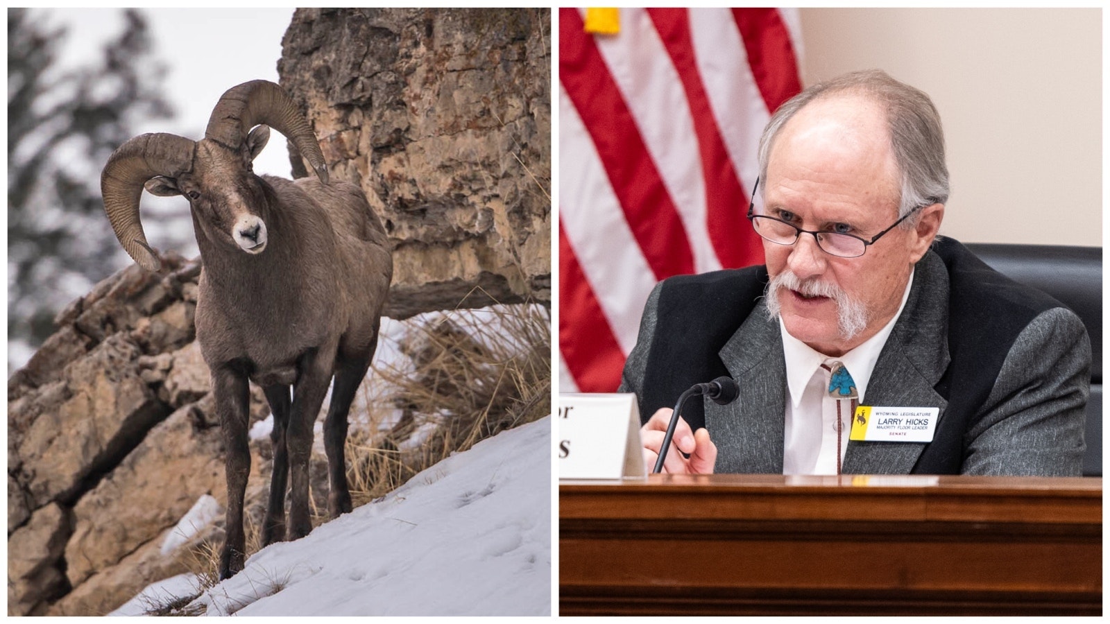 Bighorn and Larry Hicks 2 29 24