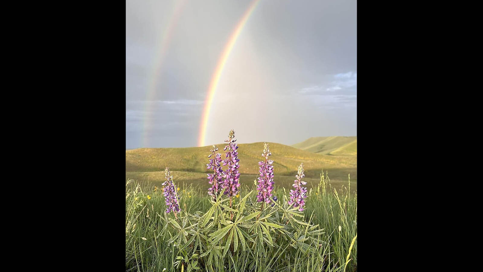 A double rainbow over the Bighorns.