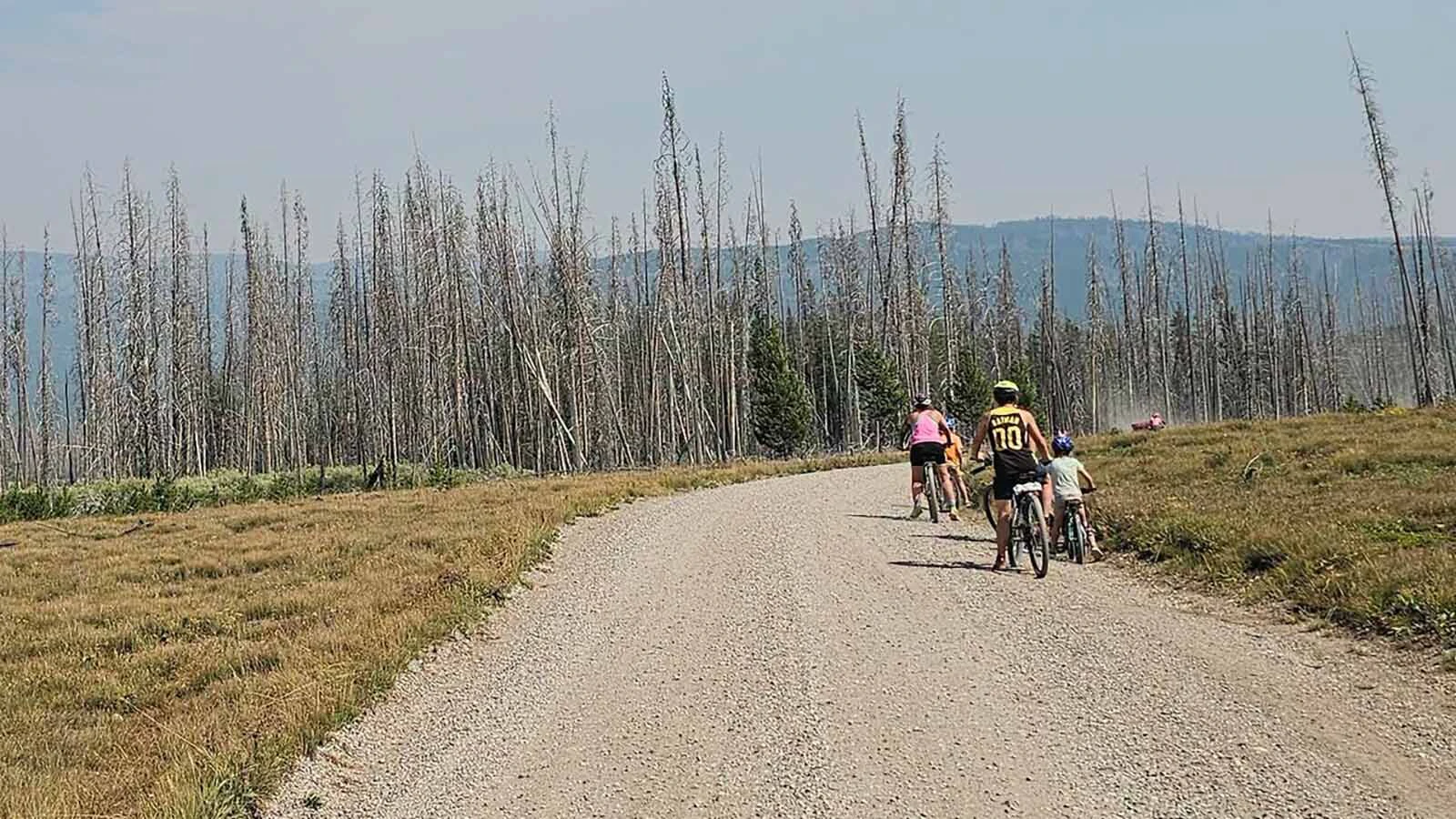 The Bettis family of Danville, Virginia, has been biking for over a month on a trip of 2,700 miles and have recently biked through Wyoming. Their adventures in the Cowboy State included fleeing from fire and enjoying all the backroads. 
