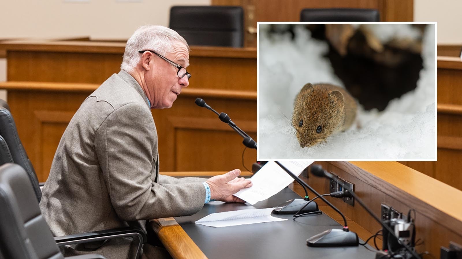 State Rep. Bill Allemand, R-Midwest, wants to close a loophole in Wyoming's wildlife laws that technically makes it illegal to trap and kill a mouse in your vehicle. You could get a year in jail and a $10,000 fine.