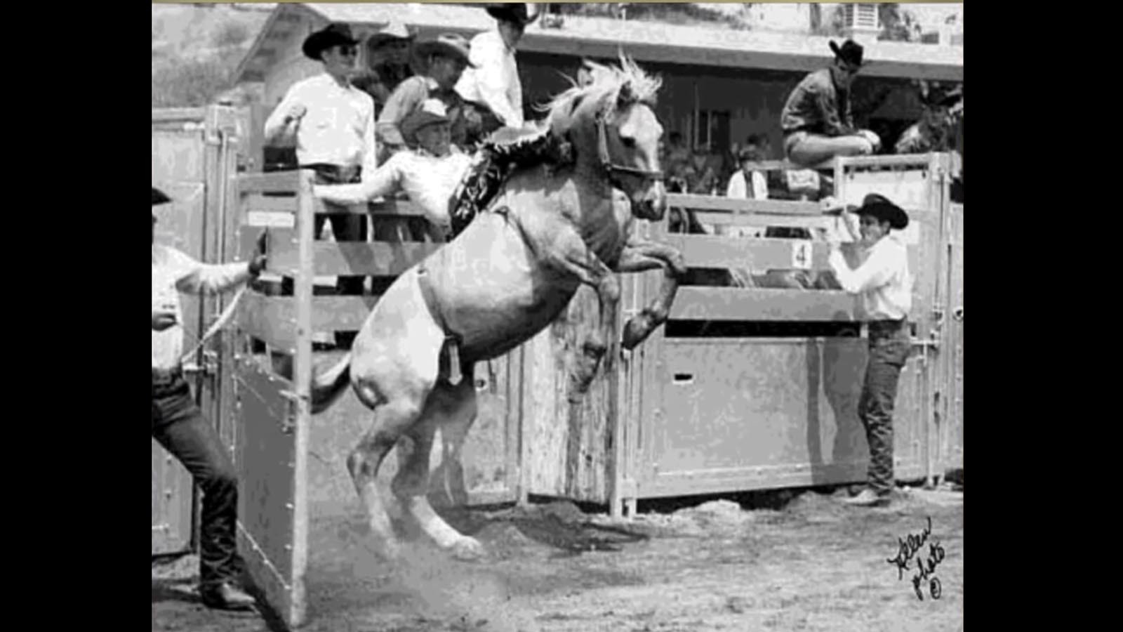 Hall Of Fame Bronc Rider Bill 'Cody' Smith Remembered As Rodeo Legend ...