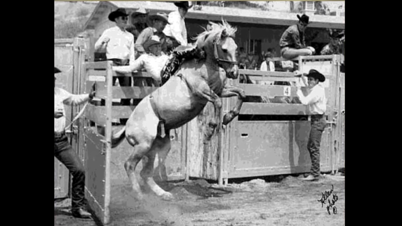 Hall Of Fame Bronc Rider Bill 'Cody' Smith Remembered As Rodeo Legend ...