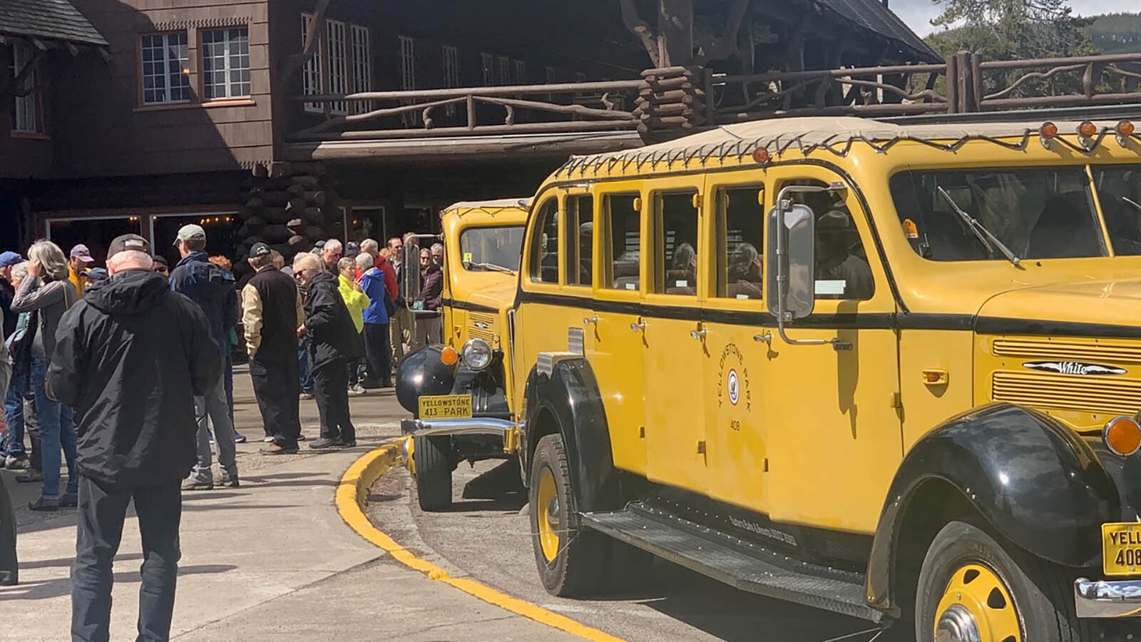 Tour buses line up at Yellowstone National Park. During one of his 54 years visiting the park, Bill Sniffin led a tour for an Israeli delegation.