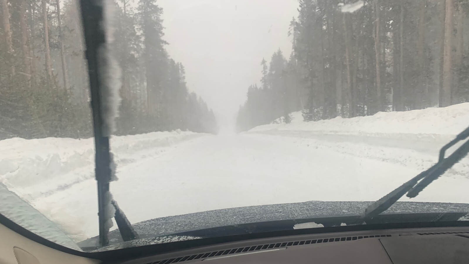 Bill Sniffin has experienced Yellowstone in winter and summer. He was caught in a snowstorm during an assignment in 2022 and has also snowmobiled through it.