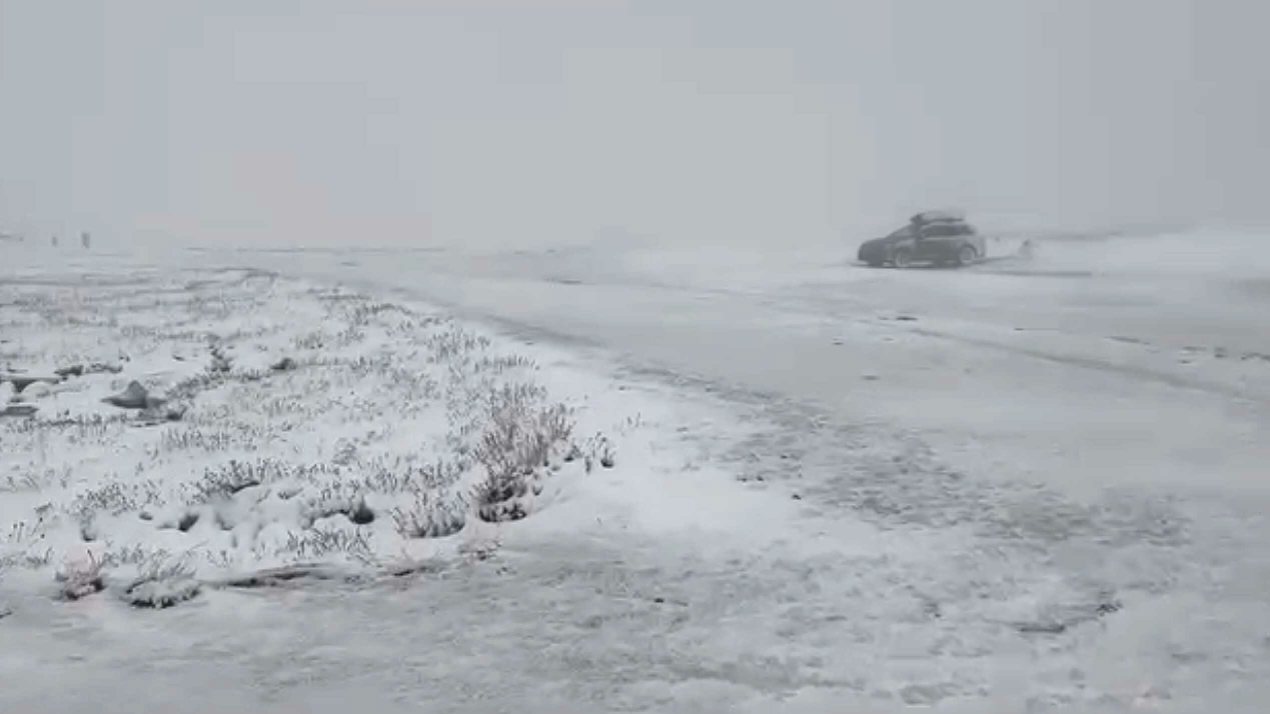 Wyoming photographer Dave Bell got caught in a blizzard on the Beartooth Highway on Thursday, Sept. 12, 2024. It left a distinct wintery scene all around the Wyoming high country.