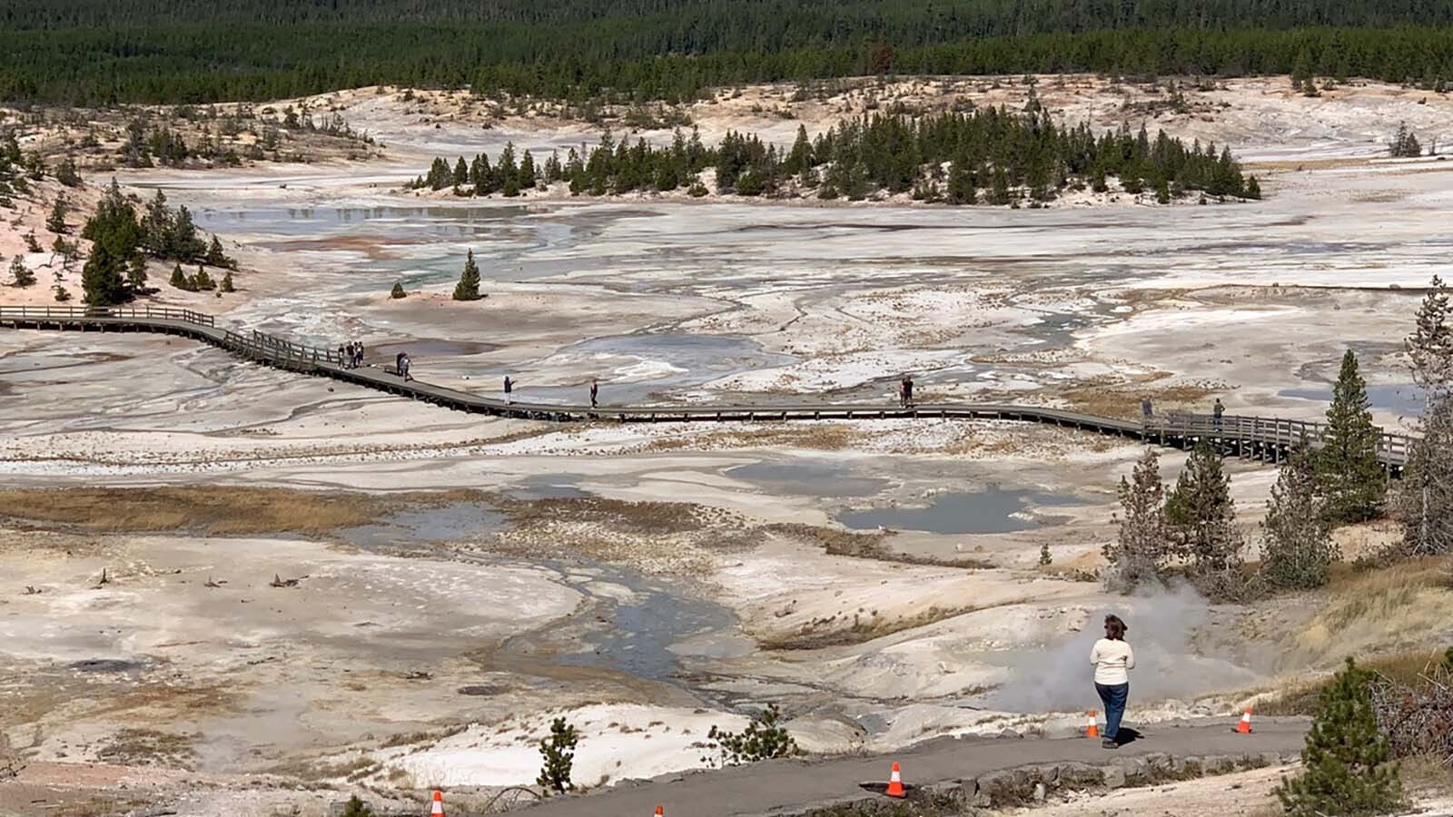 Norris Geyser Basin is one of the hottest places on earth.