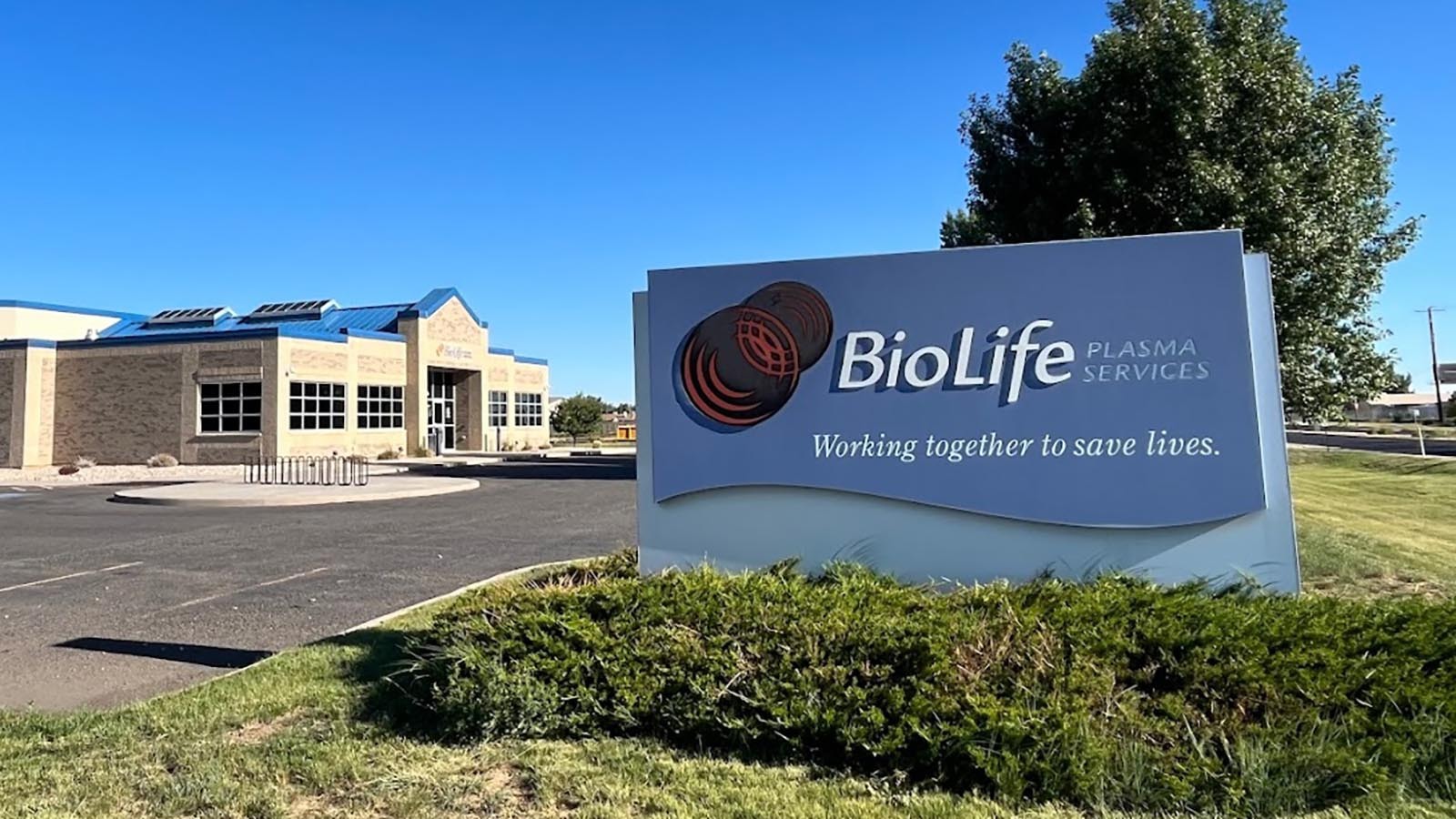 BioLife Plasma Services abruptly closed two of its three Wyoming locations Tuesday, including this one in Laramie. Cash-strapped clients who depend on the money from selling plasma say the no-notice move is a gut-punch to their budgets.