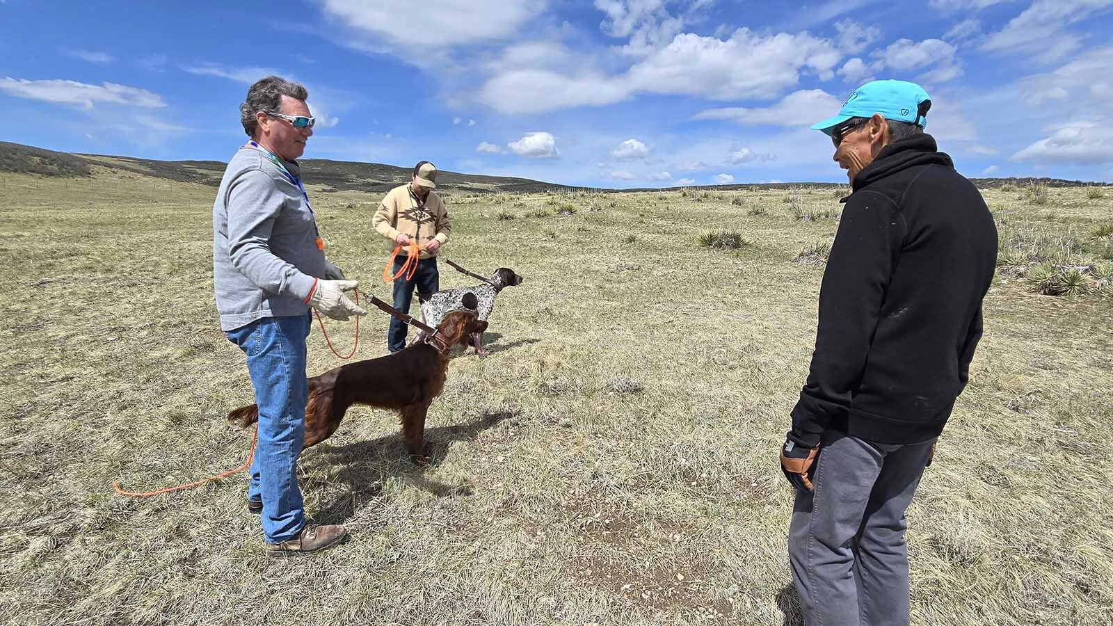 Eldon Hongo quit a six-figure career to do what he really loves — training bird dogs — and made just $12,000 his first year. Now the Cheyenne-area trainer’s resume includes 17 national champion bird dogs and a reputation as the best in the business.