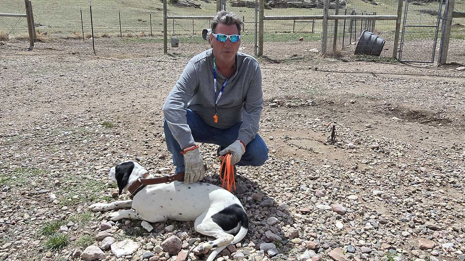 Eldon Hongo quit a six-figure career to do what he really loves — training bird dogs — and made just $12,000 his first year. Now the Cheyenne-area trainer’s resume includes 17 national champion bird dogs and a reputation as the best in the business.
