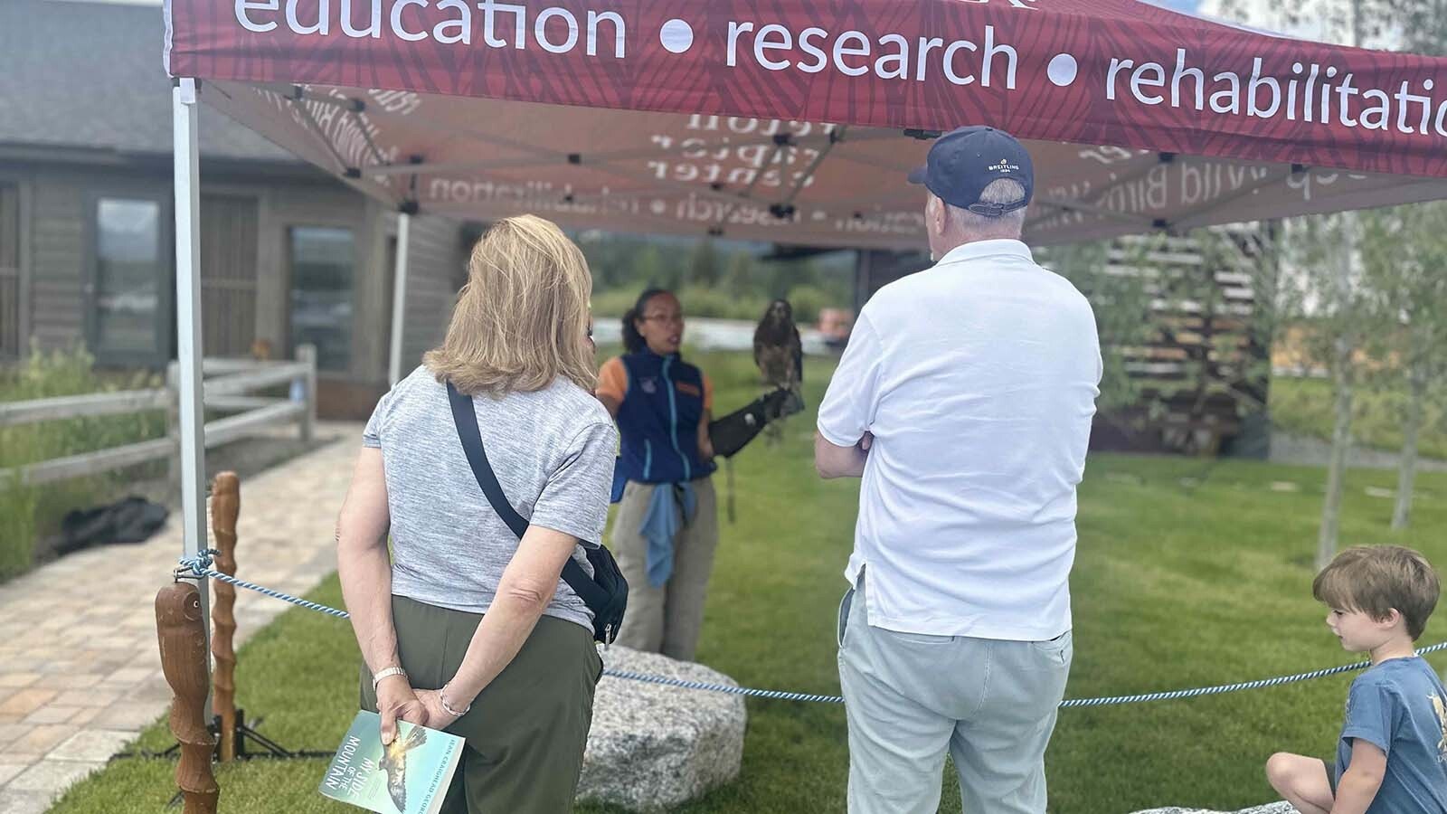 Jessica Lewis greets concertgoers with a Swainson's hawk named Pava, which was hit by a car and is now blind in one eye. The Teton Raptor Center in Wilson is also home to bird inspired art and a gorgeous stuffed bald eagle.