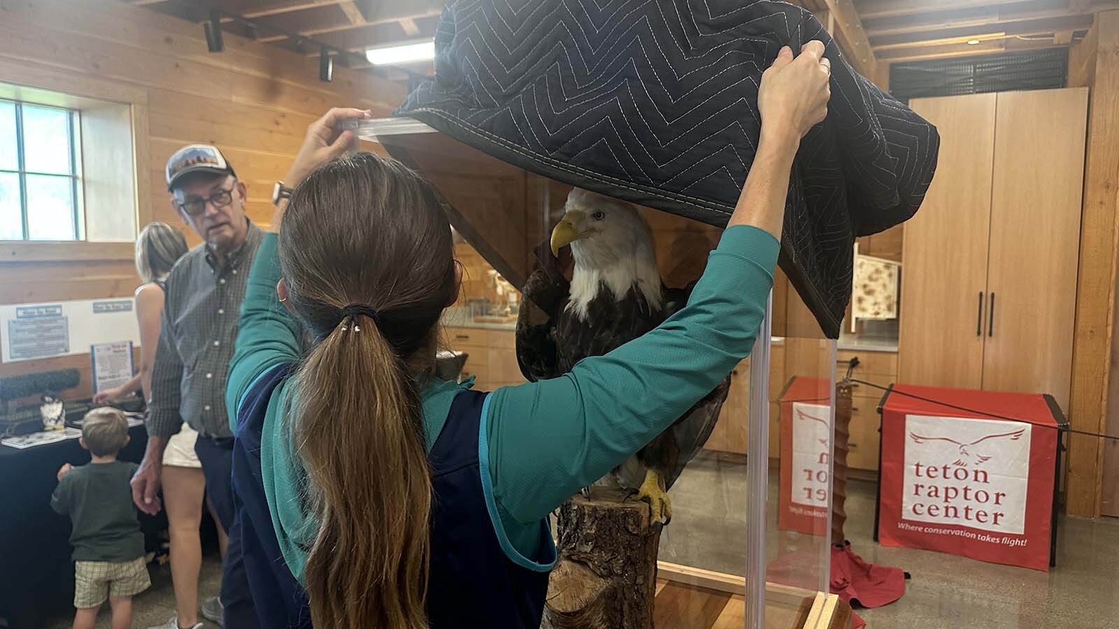 Jessica Lewis greets concertgoers with a Swainson's hawk named Pava, which was hit by a car and is now blind in one eye. The Teton Raptor Center in Wilson is also home to bird inspired art and a gorgeous stuffed bald eagle.