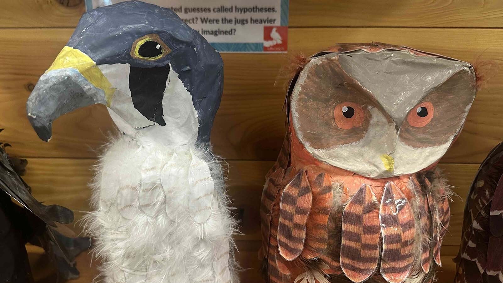 Jessica Lewis greets concertgoers with a Swainson's hawk named Pava, which was hit by a car and is now blind in one eye. The Teton Raptor Center in Wilson is also home to bird inspired art and a gorgeous stuffed bald eagle.
