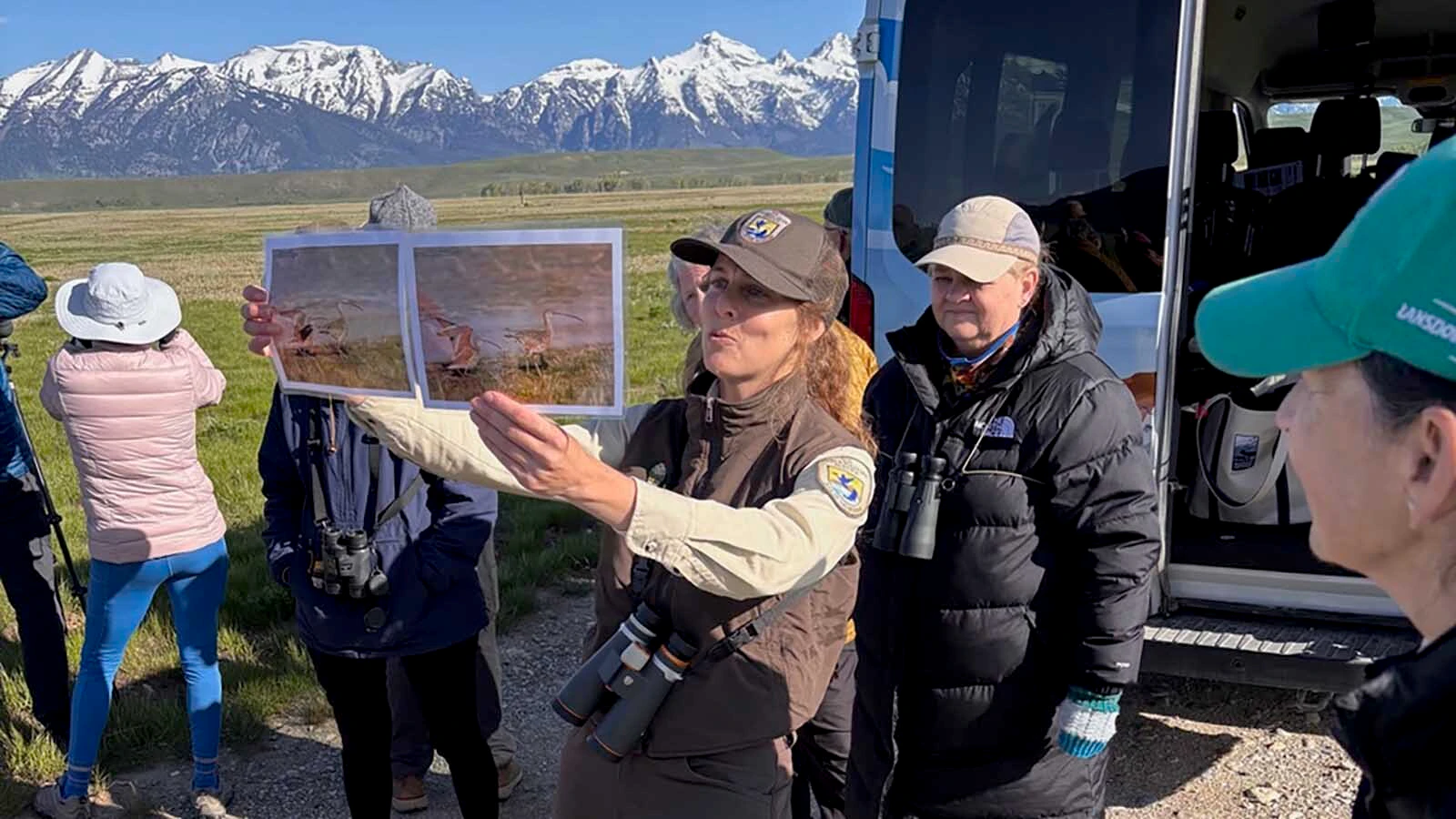 Come May, the Jackson Hole Birding Festival celebrates its second year. Kari Cieszkiewicz, education and outreach coordinator, talks about long-billed curlews on a “Curlew Cruise” at the National Elk Refuge.