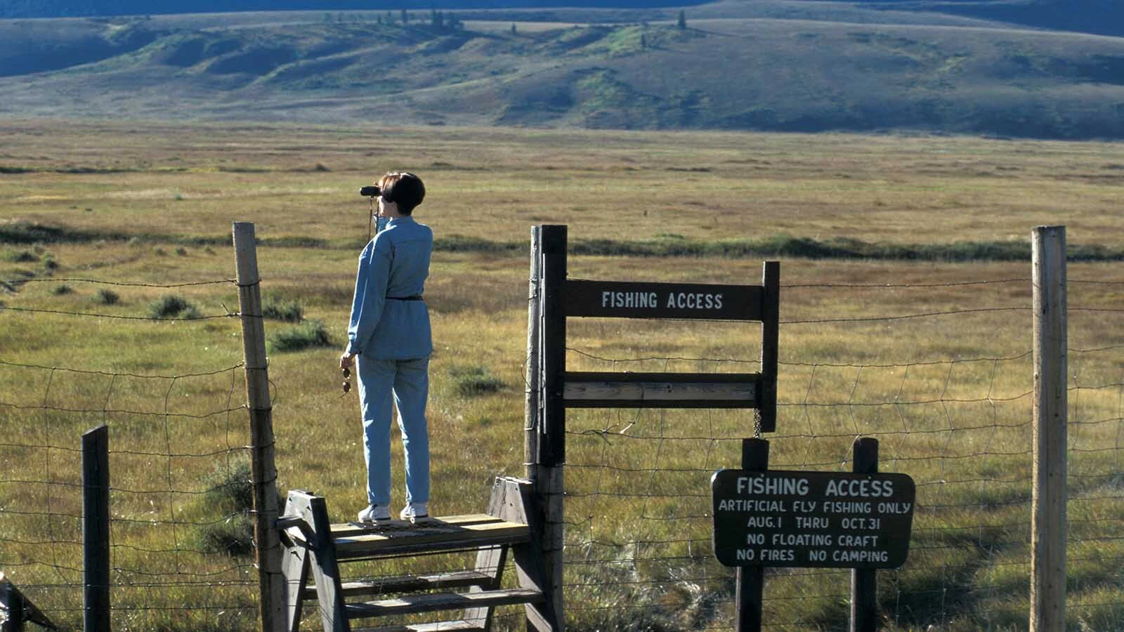 An 83-year-old retired Cheyenne Air Force veteran is crushing sunflower seeds and scattering them across his deck for a small yellow bird that isn’t often seen in Wyoming. A record warm winter has sparked an early start to bird-watching season in Wyoming. Here, someone scouts birds in Grand Teton National Park.