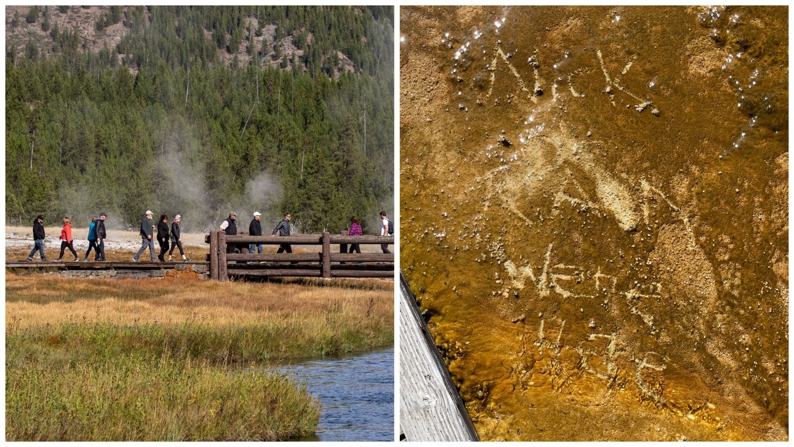 Seems some guy named Nick loves the unique features at Yellowstone National Park — so much so that Nick scratched his name and a message into a delicate thermal area just off the Biscuit Basin boardwalk.