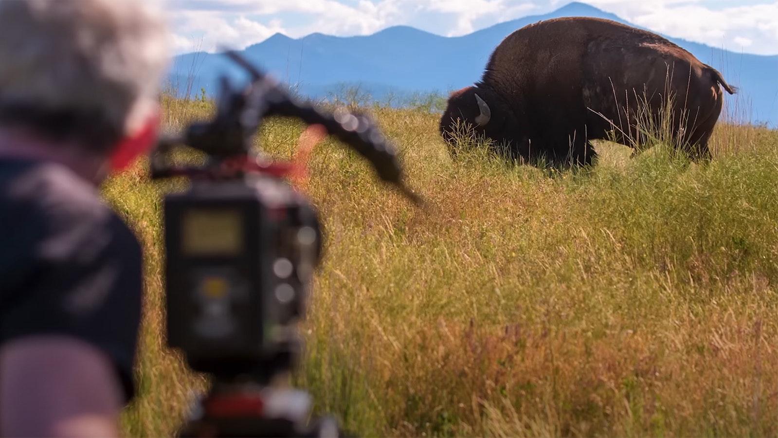 A camera operator films while making a new Ken Burns documentary on the American bison.