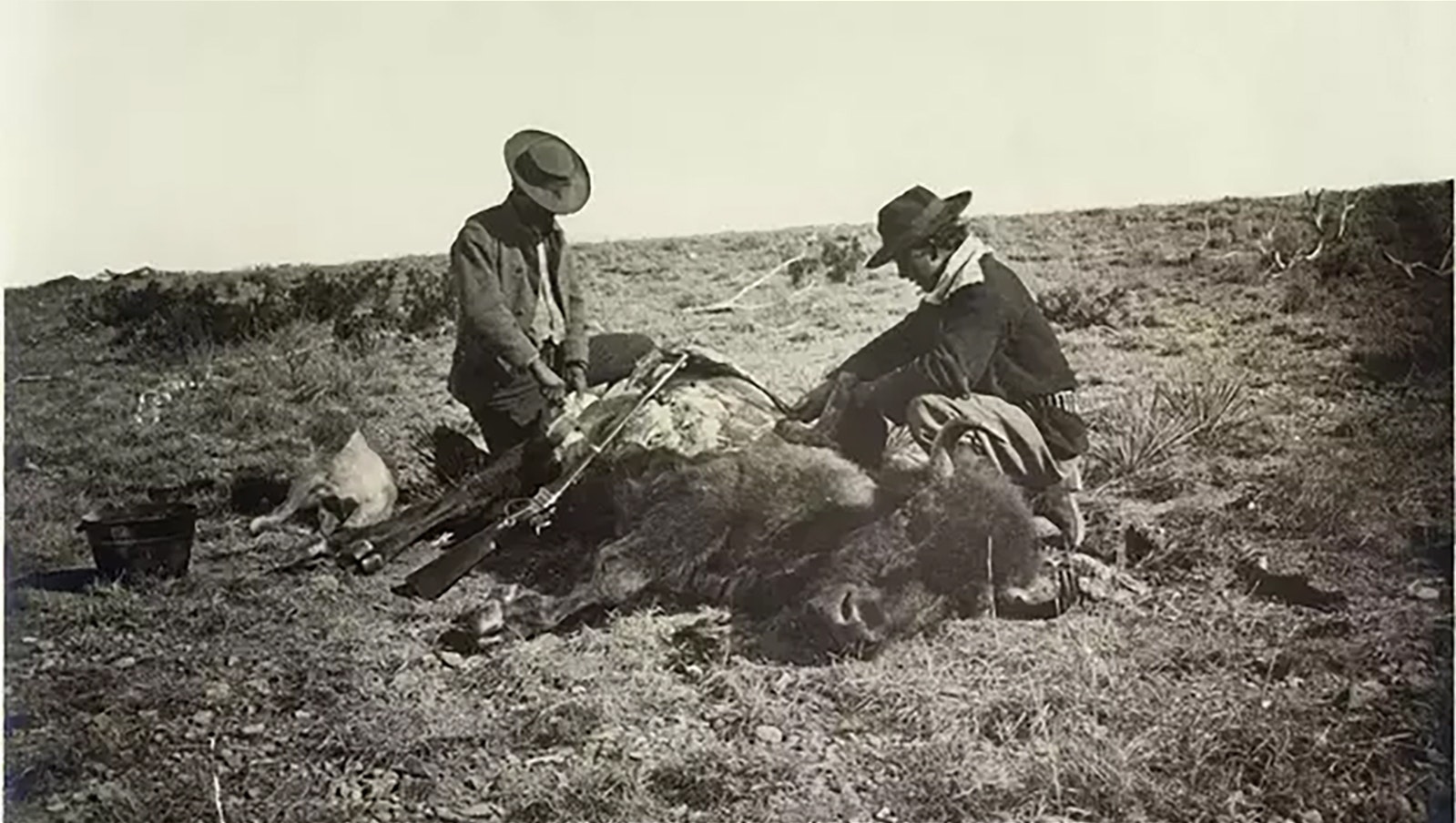 Hide hunters skin a bison on the Great Plains.