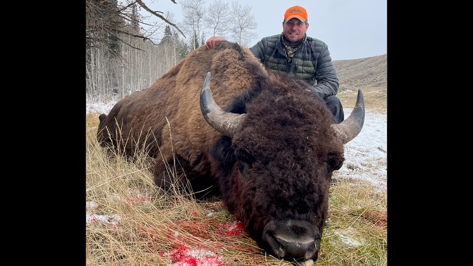 After waiting 14 years to draw a Wyoming bison hunting tag, Troy Jerup of Bondurant went on his dream hunt for wild bison this fall and bagged this trophy-sized bull.
