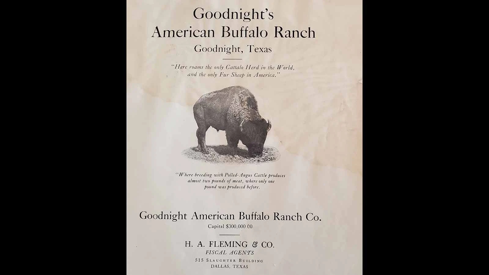 A 1910 prospectus for potential investors in the American Buffalo Ranch in Goodnight, Texas.