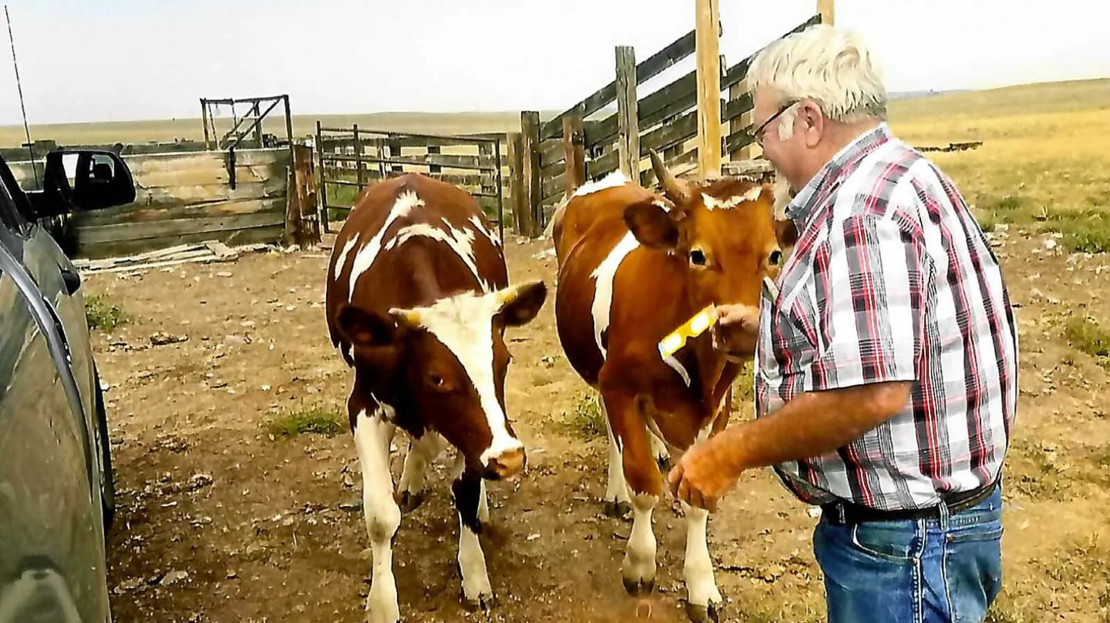Wyoming Rancher Was At The Birth Of Certified Angus Beef — Drinking ...