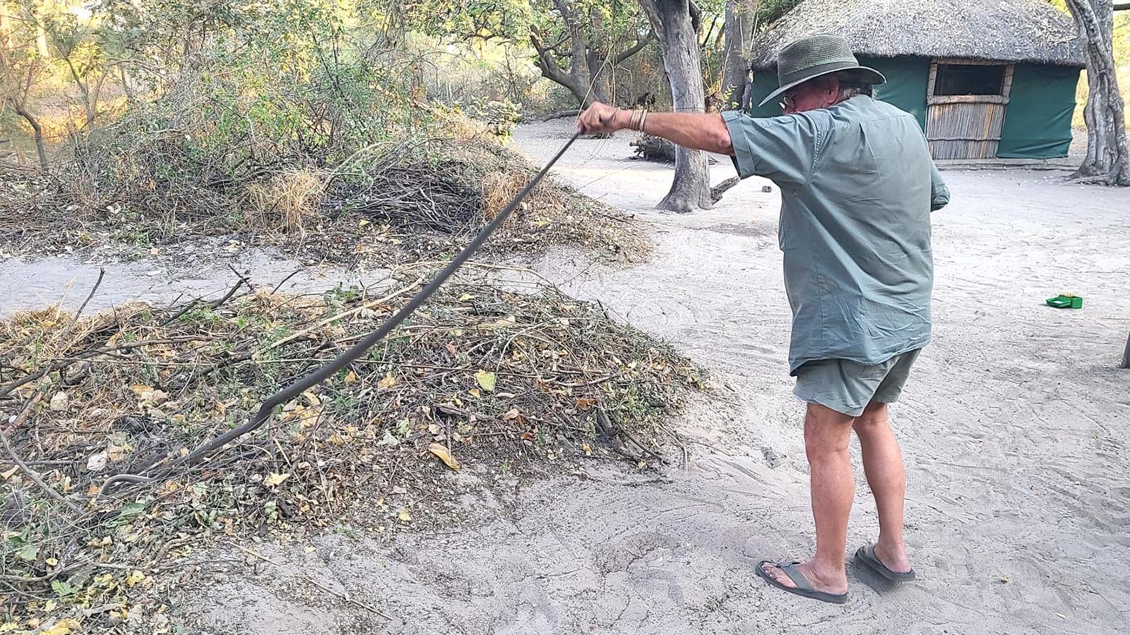 Cody resident David Ball was hunting in Namibia, Africa last week, when a deadly black mamba snake appeared in camp. He shot and killed the snake, which measured out to  7 feet, 4 inches long.