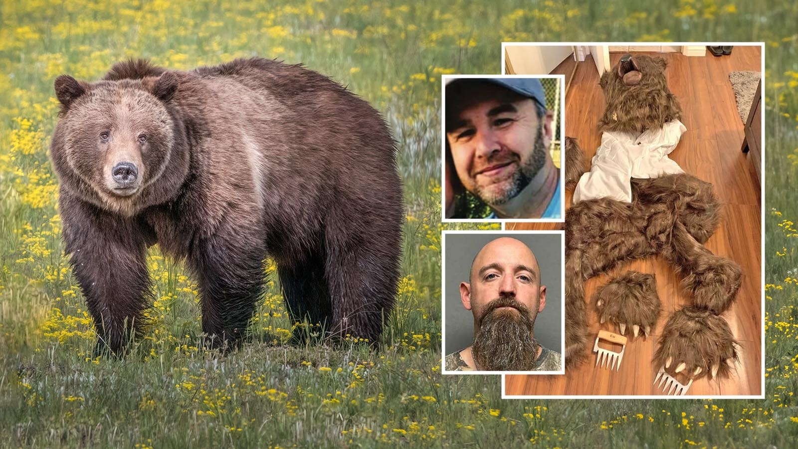 A number of recent human-on-human crimes — including murder — have attempted to be covered up and blamed on bear attacks. But law enforcement and wildlife experts say it’s not hard to see through those bogus claims.