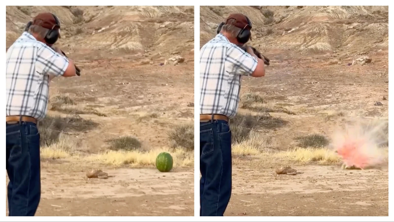 After his wife twice missed this watermelon with a 12-gauge shotgun, Elgin Cook blew it to smithereens with one shot.