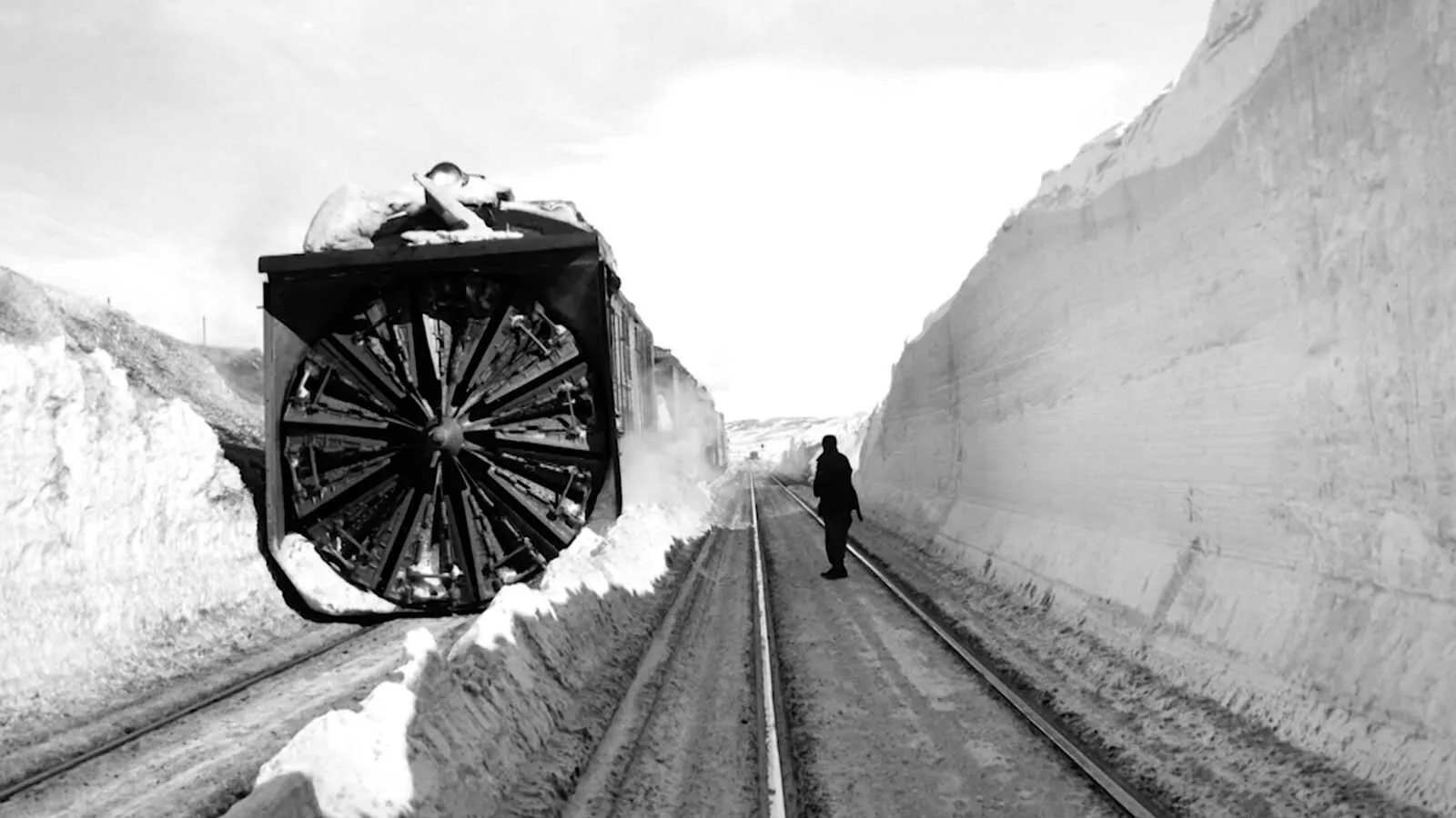75 Years Ago, The Blizzard of 1949 Crippled Wyoming | Cowboy State Daily